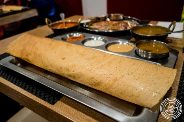 纽约市纽约市印度中国体育网直播Dosai的Dosa