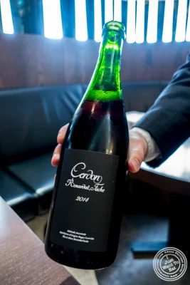 Cerdon,Renardat-Fâche,布吉,法国2014&凯悦柏悦酒店(One57)的后厅