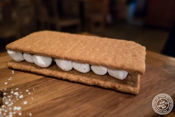 纽约布鲁克林区猎人谷的S'mores