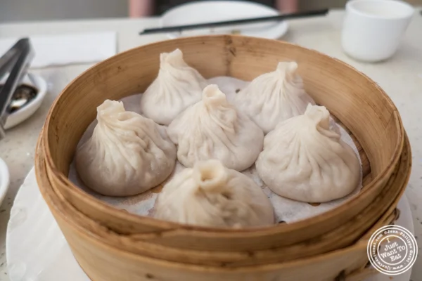 猪肉汤饺子在火焰状中国体育网直播在唐人街,纽约