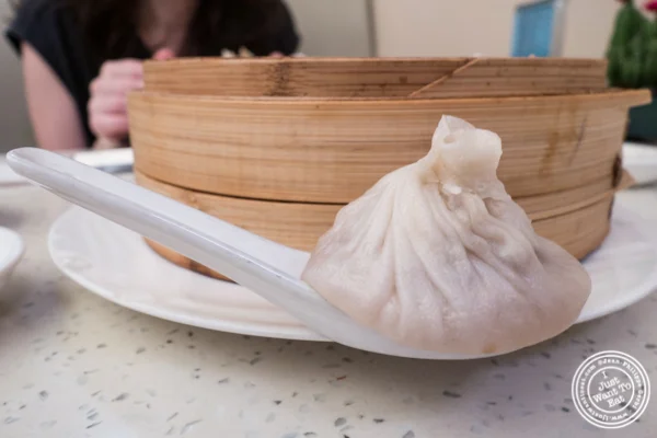 猪肉汤饺子在火焰状中国体育网直播在唐人街,纽约