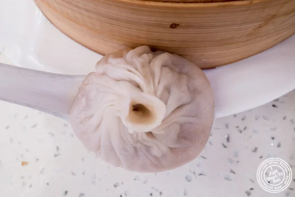 猪肉汤饺子在火焰状中国体育网直播在唐人街,纽约