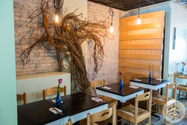 纽约州布鲁克林的Avlee Greek Kitchen餐厅