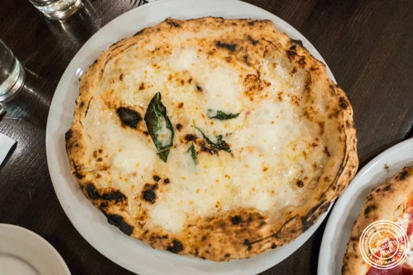 在Keste Pizza的Quattro Formaggi披萨& Vino in NYC, NY