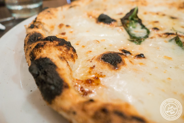 在Keste Pizza的Quattro Formaggi披萨& Vino in NYC, NY