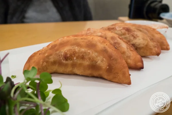 丹吉在纽约,纽约州丹吉的素食饺子