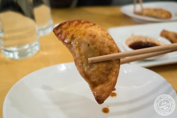 丹吉在纽约,纽约州丹吉的素食饺子
