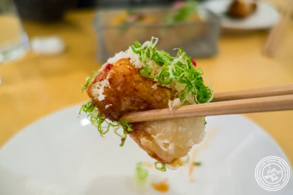 豆腐用姜和葱酱在纽约,纽约州丹吉