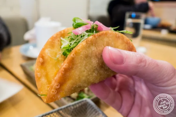 Mandoo炸玉米饼与丹吉在纽约州丹吉,纽约