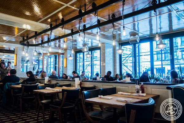 餐厅在5个餐区汉堡旁边,纽约市