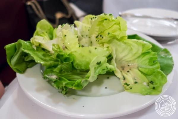 纽约市拉邦的Bibb Lettuce