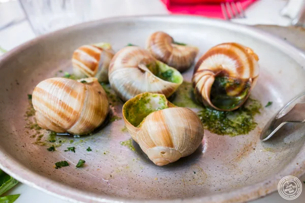 在Chez Marie的Escargots在里昂,法国