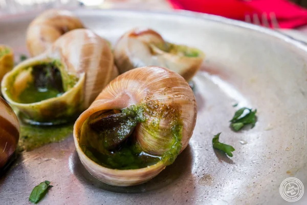 在Chez Marie的Escargots在里昂,法国