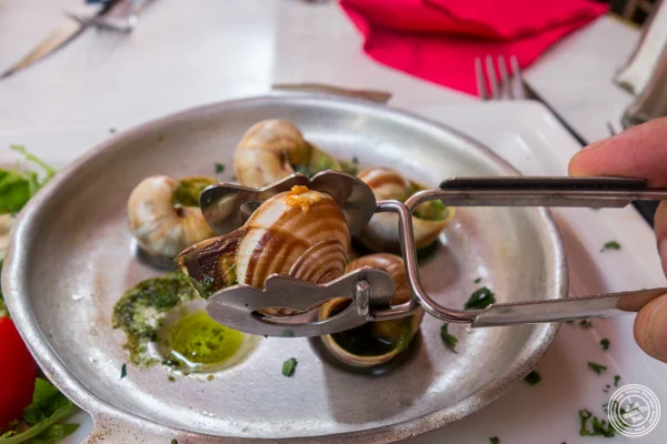 在Chez Marie的Escargots在里昂,法国