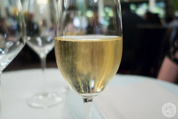 Glass of Champagne在纽约州纽约的中国体育网直播