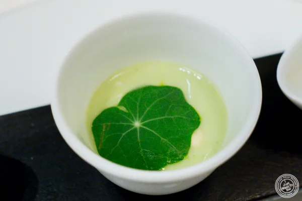 Cucumber soup在纽约州纽约的中国体育网直播