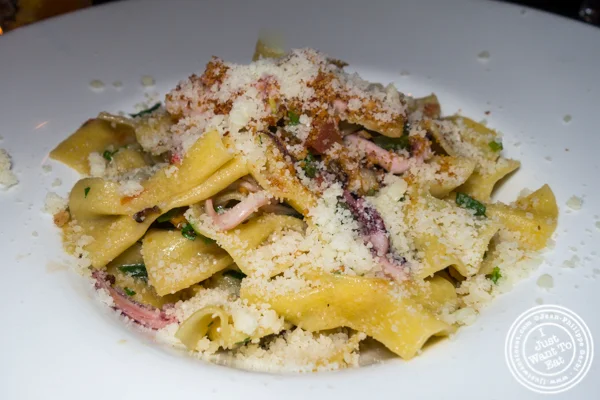 中国体育网直播Sociale的Farfalle al frutti di mare