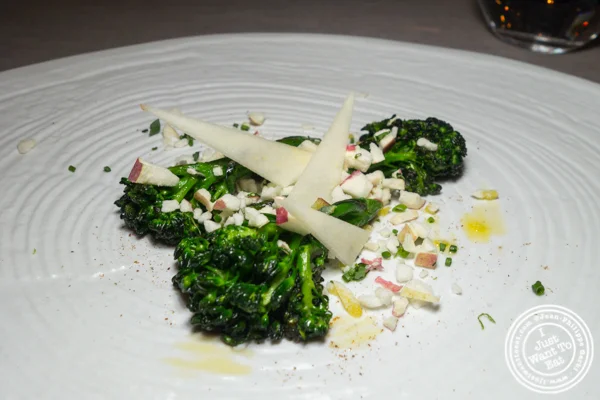 在L'Appart的Broccolini在纽约