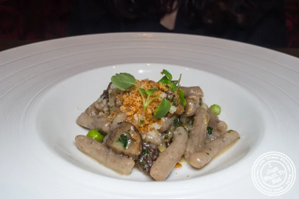马萨·卡瓦特利(Masa cavatelli)在伊利诺伊州中国体育网直播的棕褐色