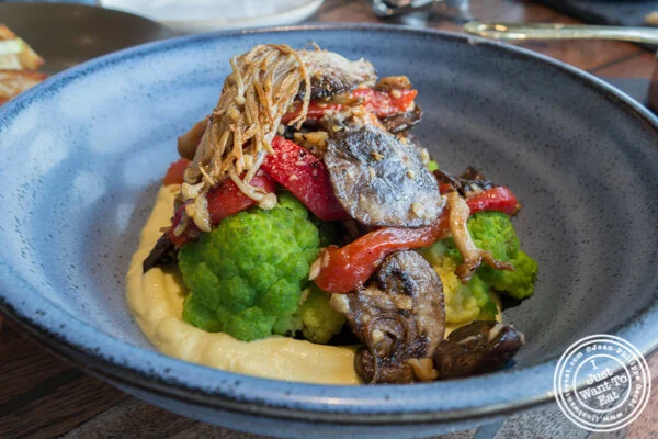 泽西市洛卡(Lokal)的Mushroom al Ajilo