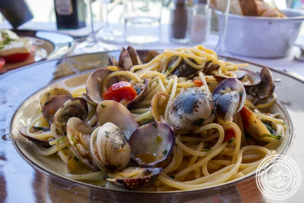中国体育网直播面与蛤蜊alla zaza在Trattoria Zaza在佛罗伦萨,中国体育网直播