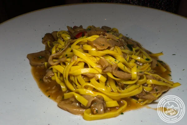 Tagliolini Al真菌在Trattoria dall'oste在佛罗伦萨,意大利