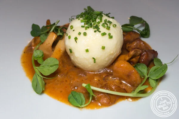 Chanterelle goulash at Wallse in 纽约市, NY