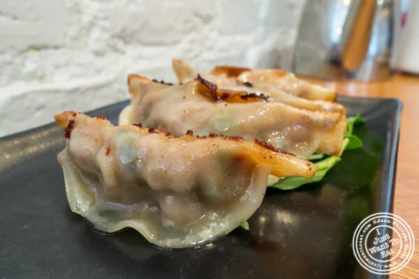 在纽约州纽约市的红色农场泛煎羊肉饺子