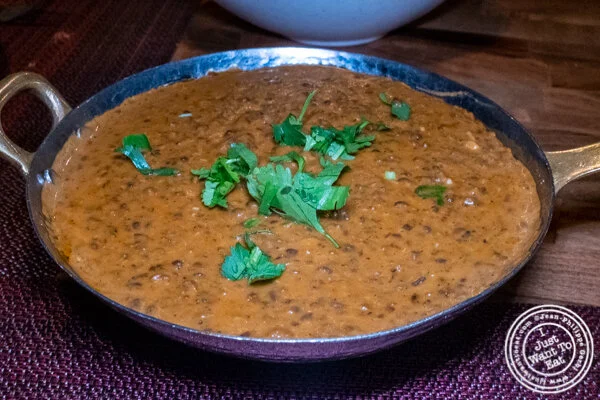 Dal at NYC,纽约乔拉