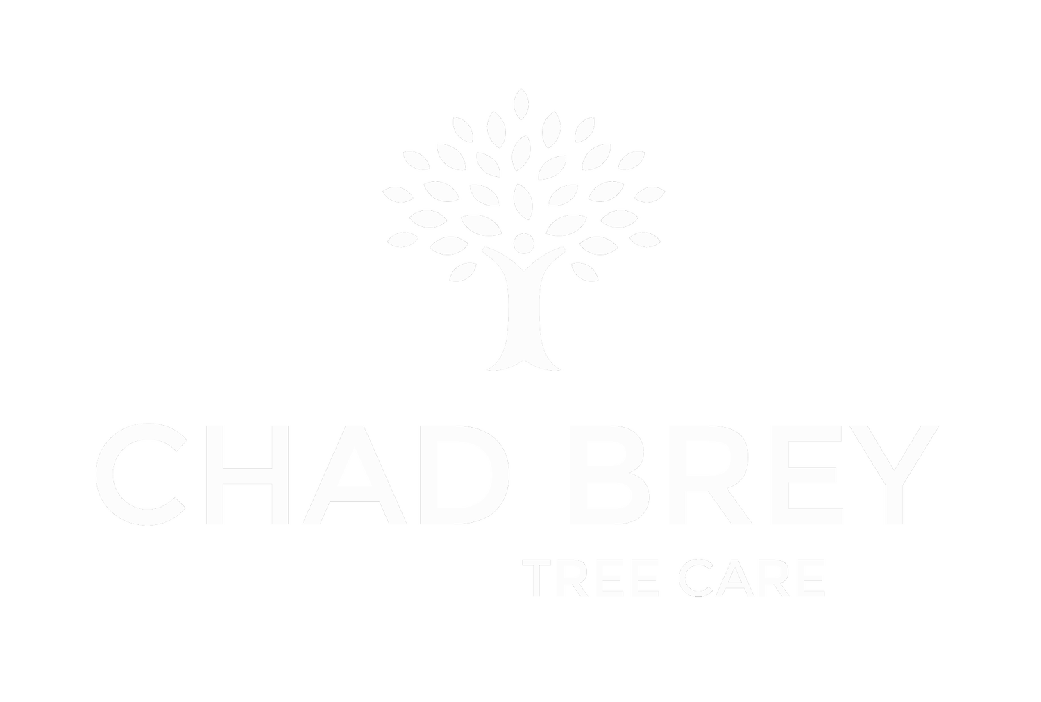 Chad Brey
