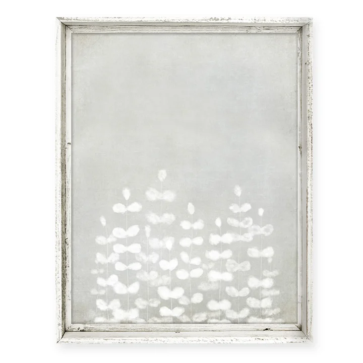 Framed Canvas Art Fac 222tall White Ferns Tall Sweet Gumball