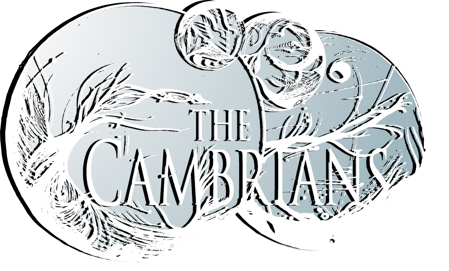 THE CAMBRIANS