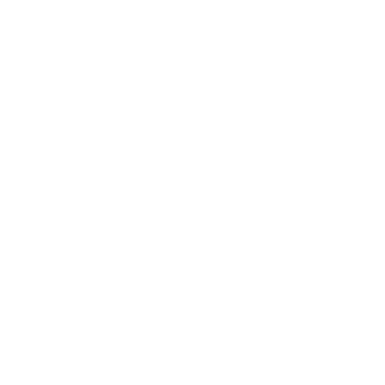 Julian Lage & Chris Eldridge — JULIAN LAGE