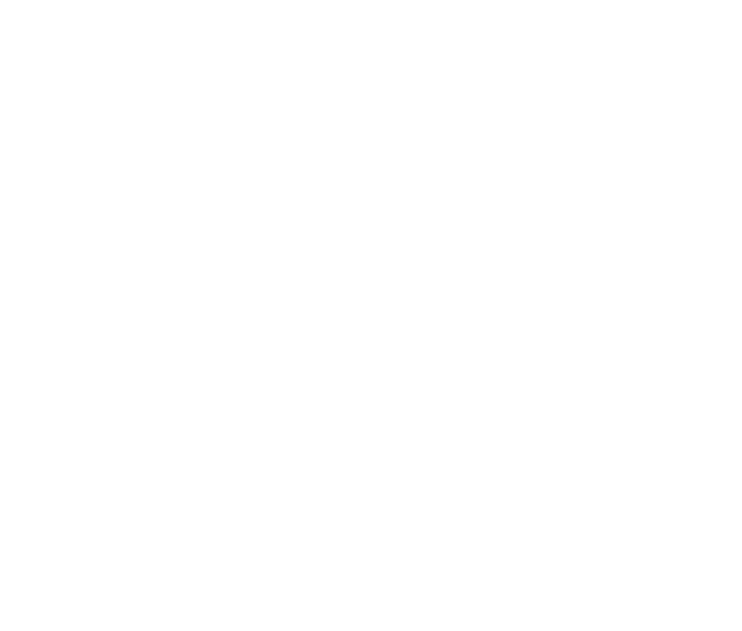 Clear Skies Consulting