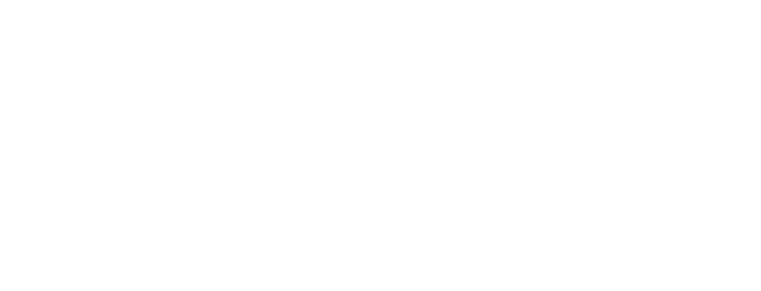 Snyder Wilson Consulting
