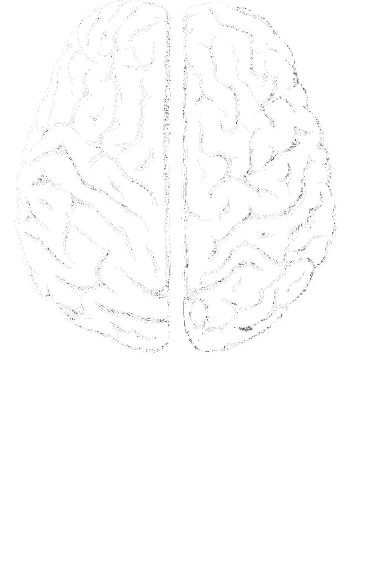 split brain sound