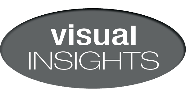 Visual Insights, LLC