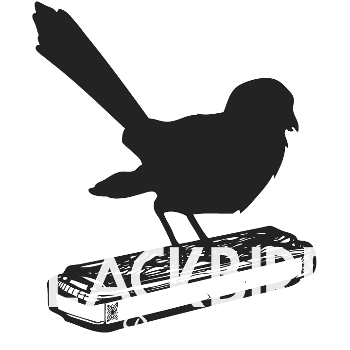 Blackbird Pickers 