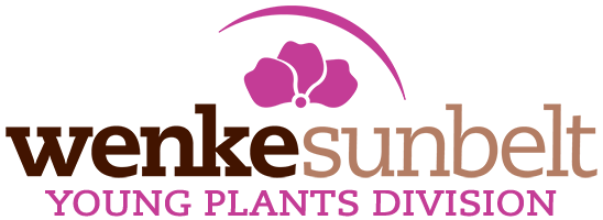 WenkeSunbelt Young Plants