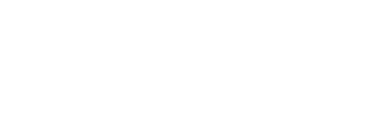 Haiti Friends
