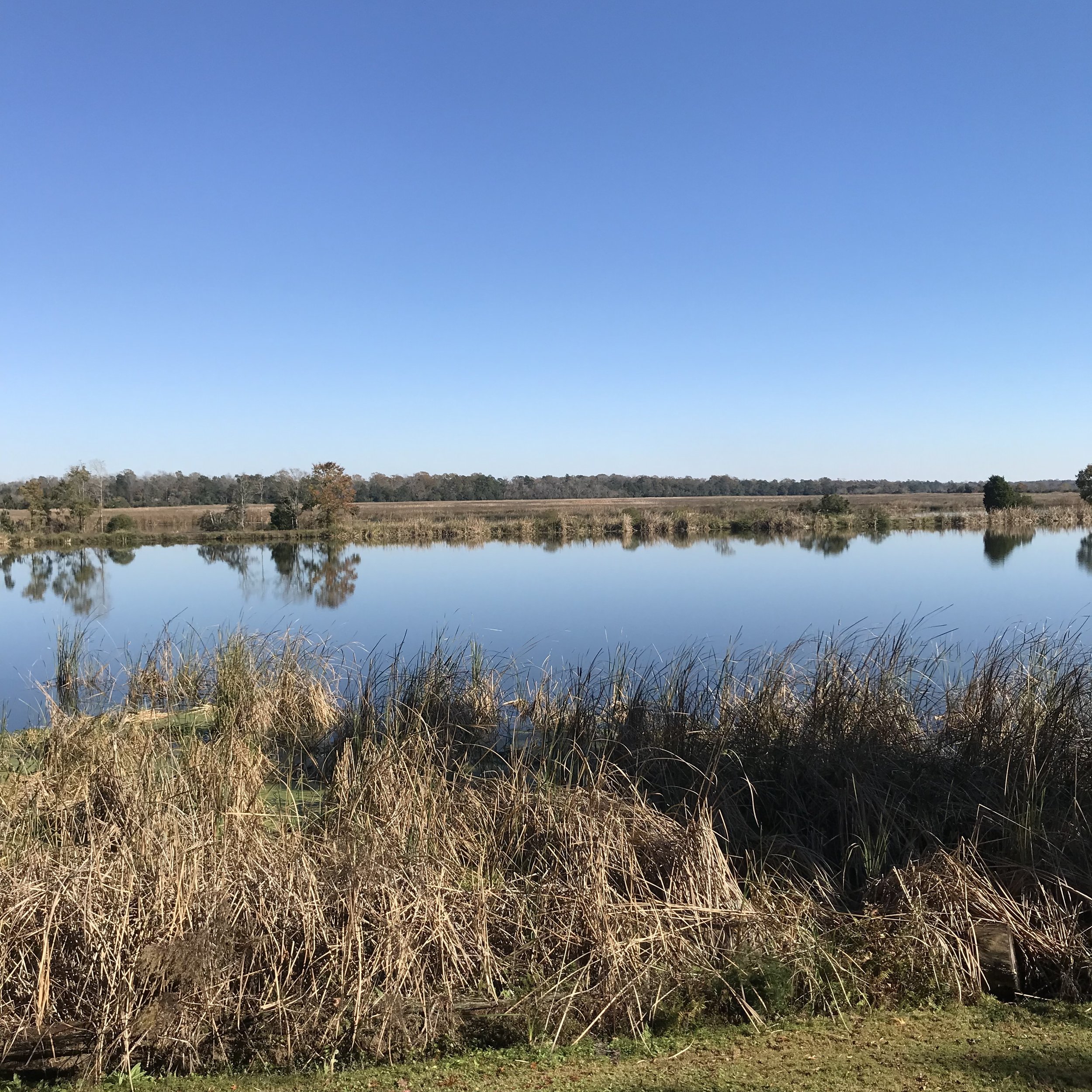 kiawah-2.jpg