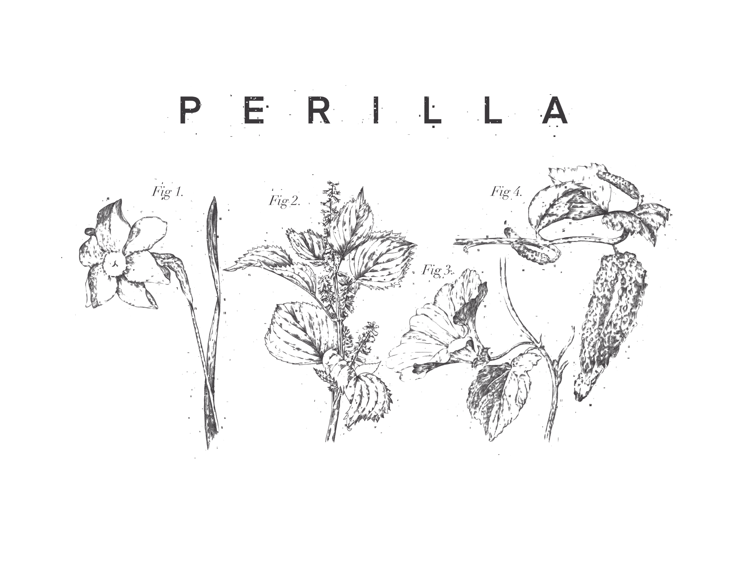  Perilla Dining