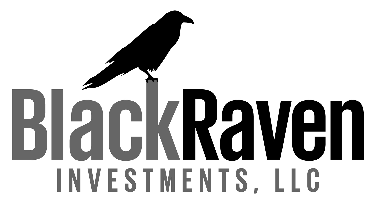 Black Raven Investments, LLC