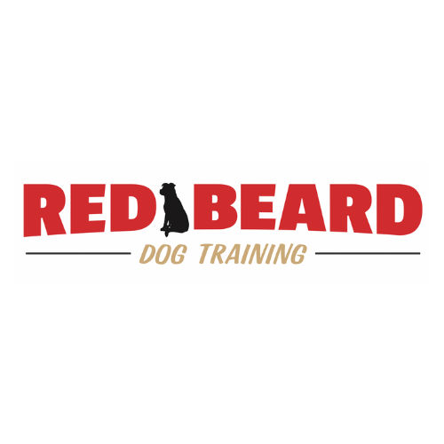 Red Beard Dog Training