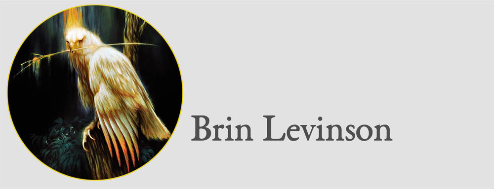 Brin Levinson