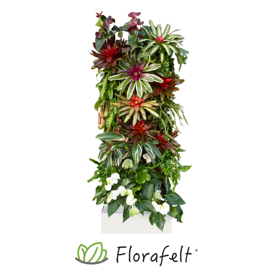 Florafelt Recirc 33 Pocket Living Wall System Florafelt Living