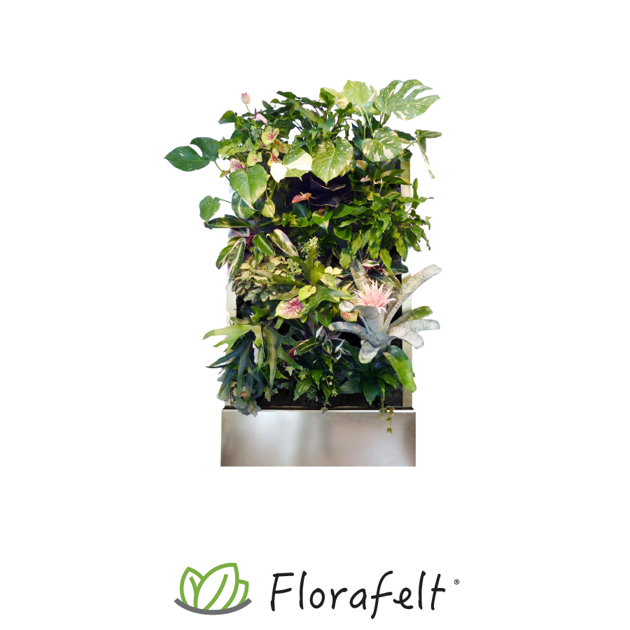 Florafelt Recirc 24 Pocket Wall Mounted Living Wall System