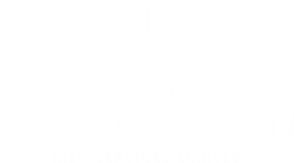 CASTLETOWN RISK SERVICES