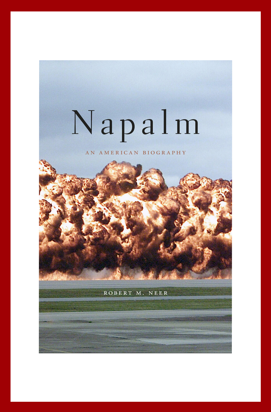 Napalm, An American Biography