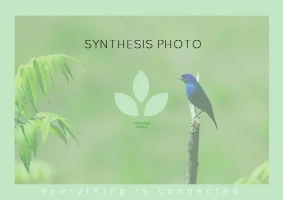 Synthesis Photography